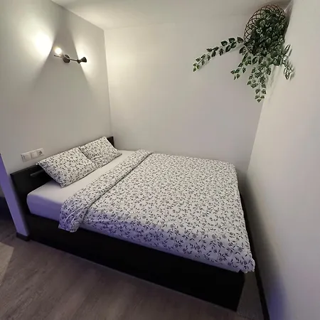Studio Apartment Apartment Valmiera